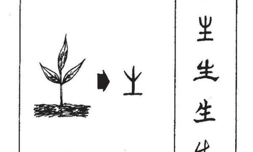 冬季2岁宝宝营养粥网2岁宝宝喝的粥的做法大全知识网站,分享适合2岁宝宝吃的粥谱大全